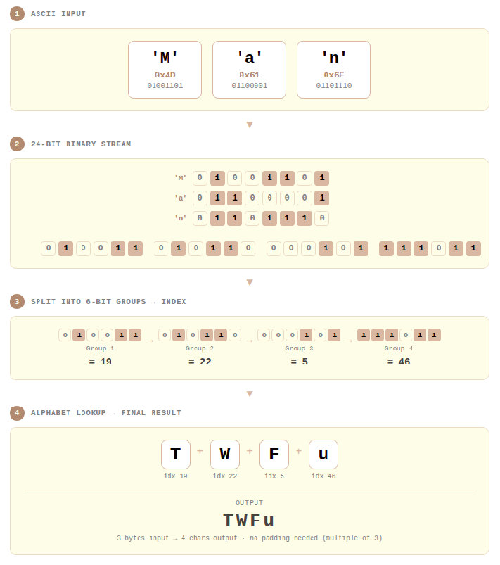 5-step process of Base64 encoding the string 'Man': ASCII → 24-bit binary → 6-bit split → index mapping → final character output 'TWFu'